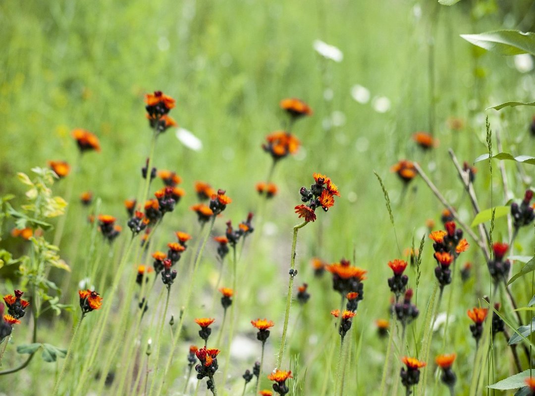 Interior Design Kdadesignology