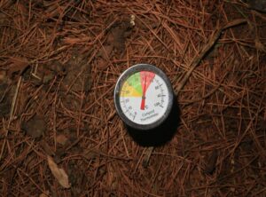 lagnat temperature picture