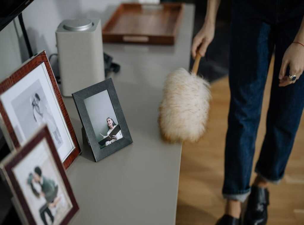 dust-free home tips